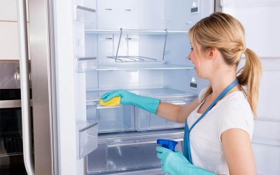 Refrigerator Cleaning